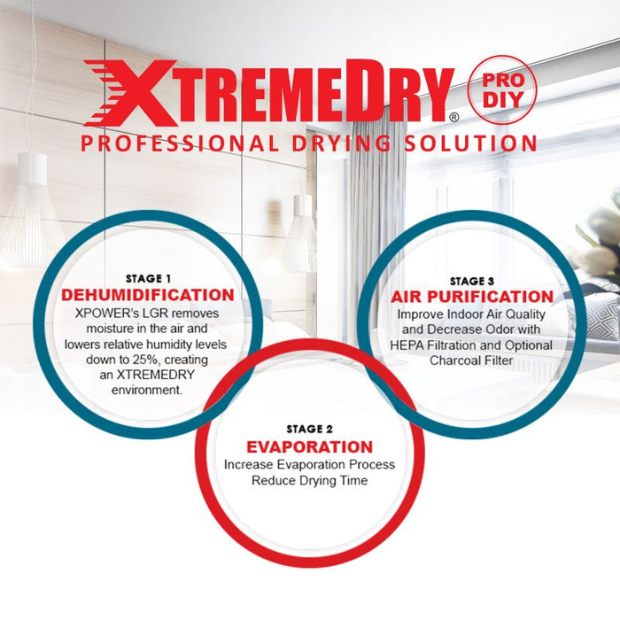 XTREMEDRY® Sonoran Complete DIY Pro Drying System, Air Mover, Dehumidifier, HEPA Air Scrubber, Transport Cart, HEPA